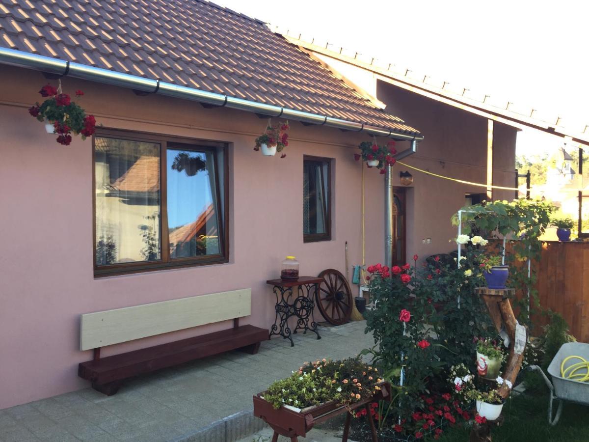 Casa Rustica Cu Terasa Villa Medias Exterior photo