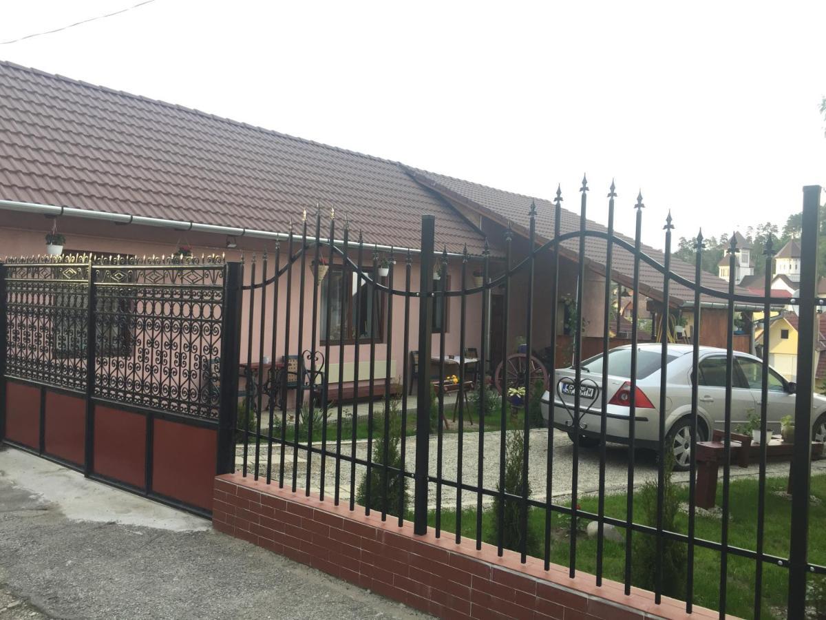 Casa Rustica Cu Terasa Villa Medias Exterior photo